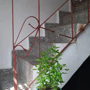 VENTA DE APTO - Img 122350914
