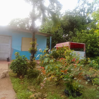 Venta de casa en el campo con vaste tierras(1 hectaria) papeles en regla - Img 123477433