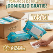 Toallitas Húmedas Premium - Img 55598866