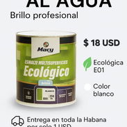 PINTURA ESMALTE AL AGUA ECOLÓGICO E01 COLOR BLANCO - Img 55248506
