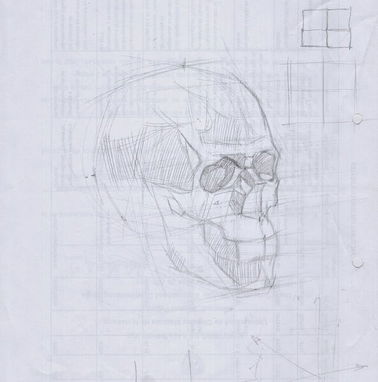 CLASES DE DIBUJO! - Img 95167448