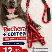 Pechera con correa para perros grandes - Img 55342547