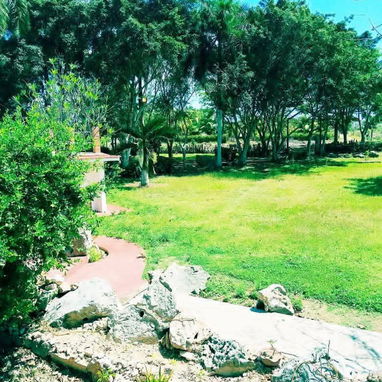 Matanzas cárdenas espectacular finca - Img 119380969