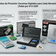Pesa - Img 55601308