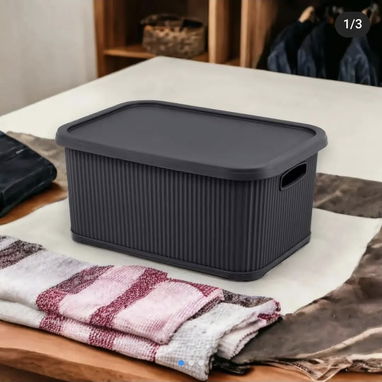 Caja Organizadora con Tapa (cv) - Img 101759938