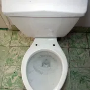 Tasa de Baño de Uso Medida Estandar - Img 57075262