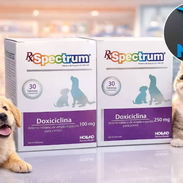 Doxiciclina de uso veterinario exclusivo - Img 54624836
