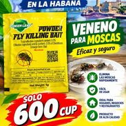 Venenos para moscas - Img 57662499