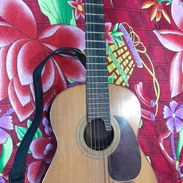 Requinto - Img 56153460