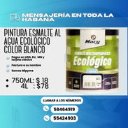 🎨 PINTURAS DE VINIL DE VARIOS MODELOS PARA DECORAR INTERIORES Y EXTERIORES 🤍 BLANCO 🔴 DESDE LOS 18 USD HASTA LOS 78 - Img 53933637