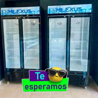 *Exhibidor vertical 20 pies³ Milexus* - 2/2