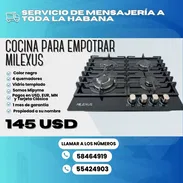 ESTUFA DE GAS EMPOTRADA MILEXUS - Img 56527627