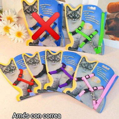 Artículos para mascotas: perros y gatos - Img 126323393