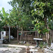 🏡En venta casa en Víbora Park 🏡 - Img 57281022
