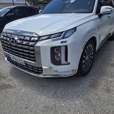 Vendo o negocio, Hyundai palisade 2024, calligraphy - Img 122038964
