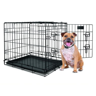 Pitbull.Rotweiler.Doberman.Pastor.Teckel.Salchicha.Chiguagua.Bulldog.Labrador.Dálmata.Cocker.Shihtzu.Spaniel.Boxer - 5/10