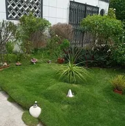 Se vende casa en Miramar, Playa - Img main-image-47739150