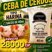 Pienso importado Para Ceba de Cerdos - Img 57449210