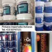 PINTURAS ITALIANAS - Img 45685692