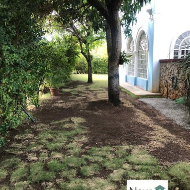 Venta de casa independiente en calle 90 - 3/10