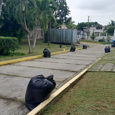 Servicios de Jardinería Profesional - 7/8