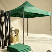 Carpa - Img 57689391