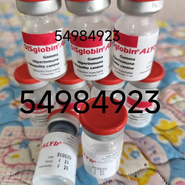 DISGLOBIN PARA NUESTRAS MASCOTAS 🐕🦮 - Img 124853768