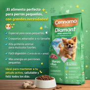 Pienso importado para razas pequeñas - Img 57911559