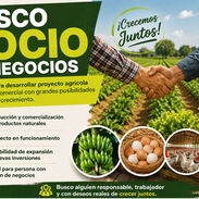 SOCIO DE NEGOCIOS - Img 55378949