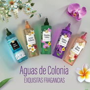*Oferta Limitada*: Colonias 400ml... frescura y elegancia en una sola frangancia 🫧😊. Calidad y garantía ✅. - Img 51267719