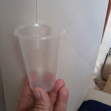 Cucharas y Vasos Plásticos - 2/2