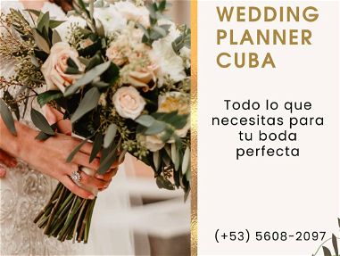 Organización de Eventos/Wedding Planner Cuba | Anuncios-cu - Img main-image-44400581