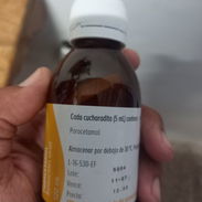 Paracetamol infantil - Img 55870239