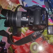 Camara profesional - Img 56071904