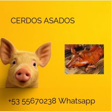 Cerdo Asado Don Bello - Img 124981501