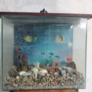 Peceras - Img 58158066