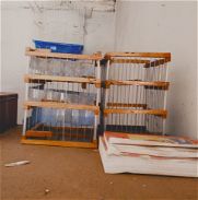 Vendo varias jaulas de pájaros de uso - Img 45729736