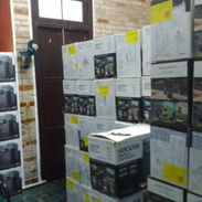 Variedades de Plantas eléctricas y precios - Img 55162962