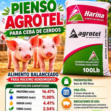 Vendo piensos para puercos y gallinas ponedoras 56 70 29 86 - Img 123147419