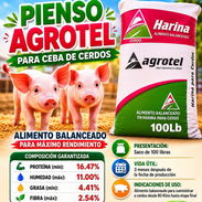 Vendo piensos para puercos y gallinas ponedoras 56 70 29 86 - Img main-image-55730774