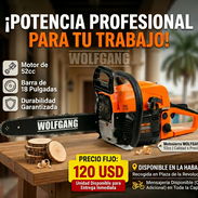 MOTOSIERRA PROFESIONAL WOLFGANG – 120 USD - Img 56871321