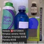 Tratamiento para eliminar piojos - Img 57685117