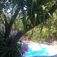 Casa en la playa con piscina - Img 54788414