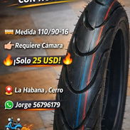110/90/16 - Img 58319300