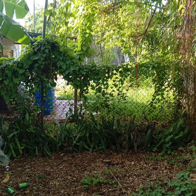 Venta de terreno en Guanabo - 4/9