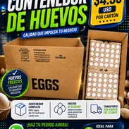 contenedor de huevos. - Img 55524095