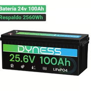 Batería Dyness LiFePO4 24V 100Ah 2560Wh 2.56kWh Para Respaldo En Casa - Img 57912341