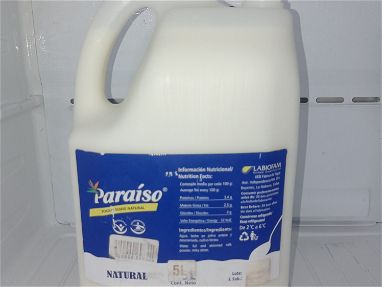 Yogurt probiótico natural y de sabor,galón de 5L en 3000cup. - Img main-image-45629720