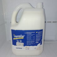 Yogurt probiótico natural y de sabor,galón de 5L en 3000cup. - Img 45629720