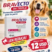 ‼️BRAVECTO en REBAJA 40-60kg - Img 58324488
